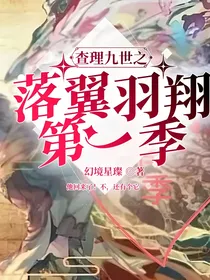 查理九世之落翼羽翔第一季