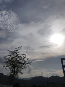 夏枕南枝