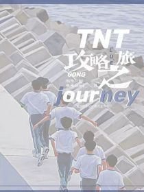 TNT——攻略之旅