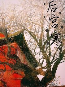 后宫寒