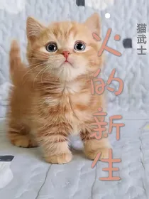 猫武士之火的新生