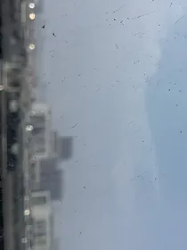 all邓：人鱼泪