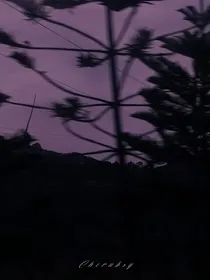 ENHYPEN：血色罪恶