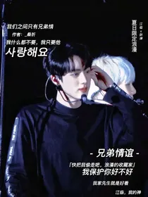 BTS：兄弟情谊