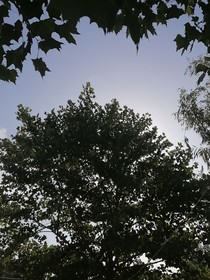 林中遇