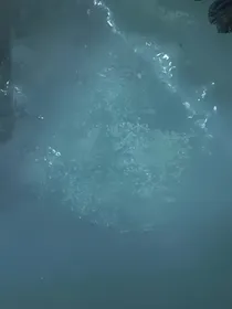 箫声茫茫