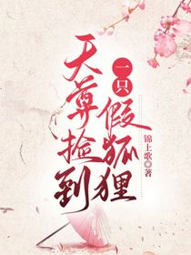 天尊捡到一只假狐狸-d882