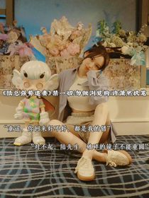 陆总强势追妻
