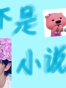 不是小说翔霖