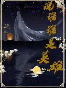 说谁谁是英雄番外