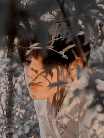 TF家族：齿轮密码