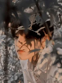 TF家族：齿轮密码