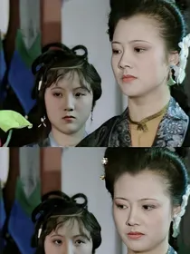 红楼梦同人文尤氏