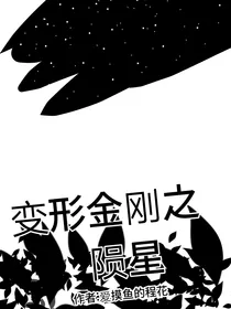 变形金刚之陨星