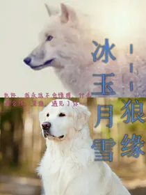 冰玉月雪——狼之恋-d252