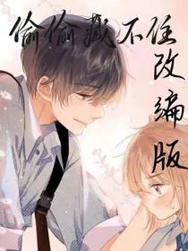 改编版之偷偷藏不住