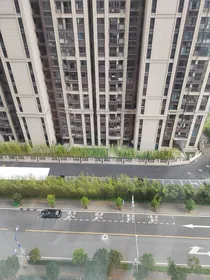 任务日常