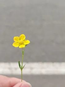 拉低全世界幸运值的这些年