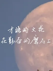 爆甲战陀：一眼经年