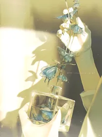 我是你的omega