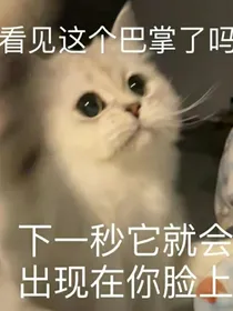 我在会议室当皇帝的那些年