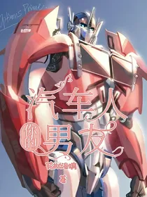 你的汽车人男友