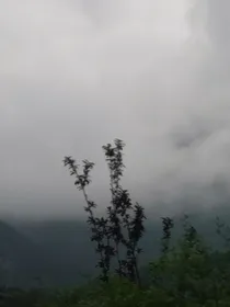 小甜文哦