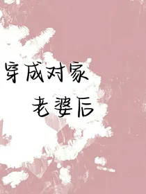 穿成对家老婆后