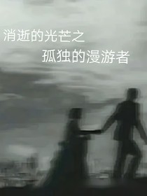 消逝的光芒之孤独的漫游者