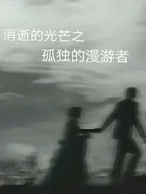 消逝的光芒之孤独的漫游者