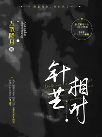 针芒相对