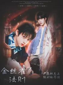 请认真和我恋爱