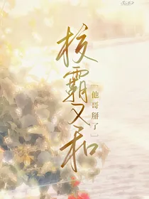 校霸又和他哥掰了