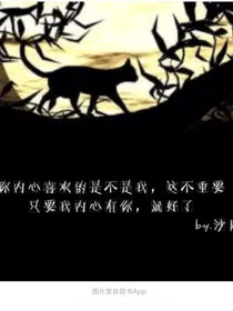 蓝灰图坑