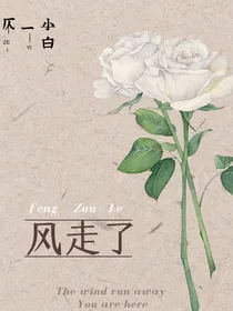 风走了