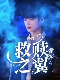 TNT：救赎之翼