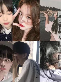 凤凰花使我们相遇……