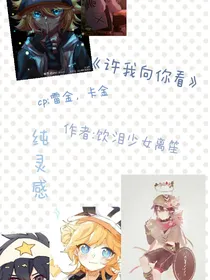 许我向你看（雷金卡）