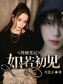 终极笔记：如若初见