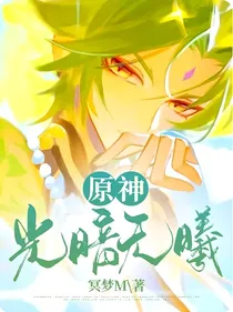 原神：光暗无曦