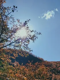 （漫综）精神病马甲的出逃日常