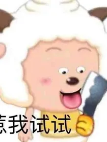 影视全明星之爱情日记