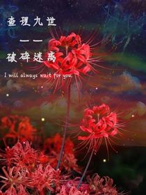 查理九世——破碎迷离-d309