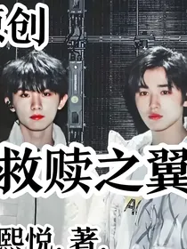 祺轩：救赎之翼