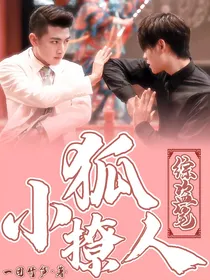 综盗笔：小狐撩人