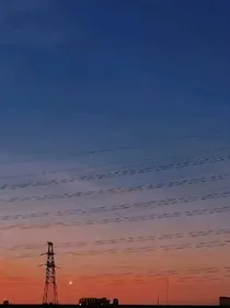 R1SE：干掉女主做团宠