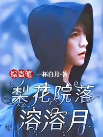 综盗笔：梨花院落溶溶月-d098