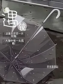 遇镜