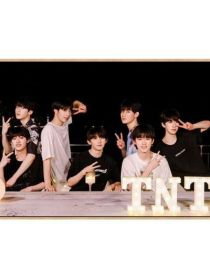 TNT：哥哥们的掌上明珠