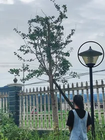 热烈而又勇敢的青春